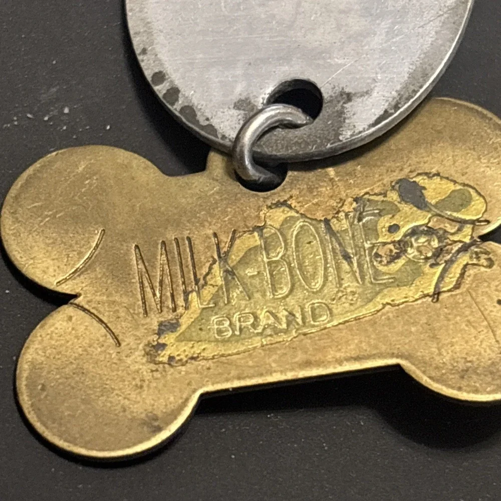 Vintage Dog Tags Lot of 5 AKC Rabies Vaccination Pet ID Eden NC Milk Bone